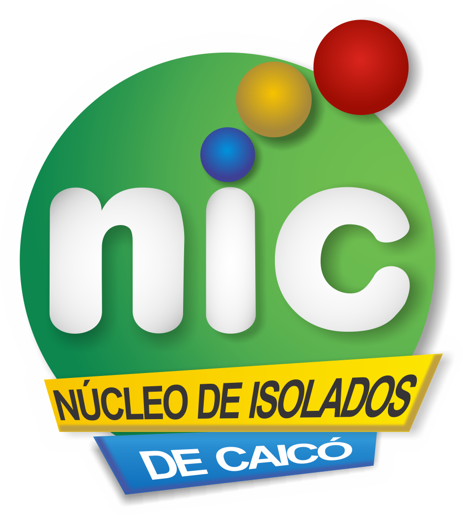 NIC logo